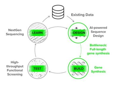 TCR-T开发者RootPath宣布基因合成新技术,可将合成通量提升几个数量级,已筛选了2万多个TCR